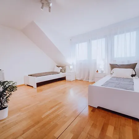 Grosse 3 Wallersheim Mit Pkw Stellplatz * Coblença